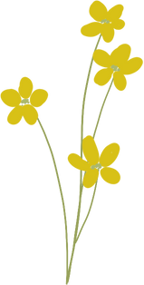 Yellow Flower